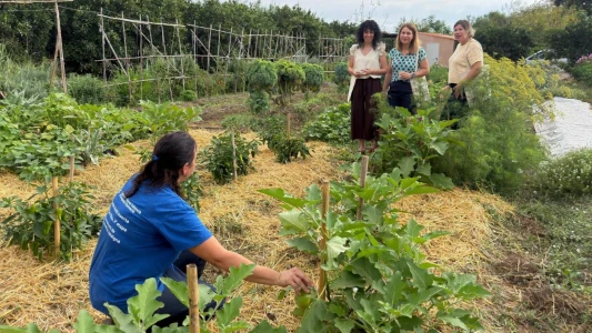 Jornada de agricultura ecológica en Tavernes