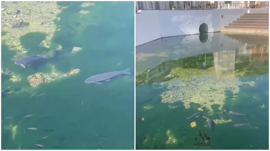 El agua de la Font Gran no está contaminada, informa el Ayuntamiento de Simat
