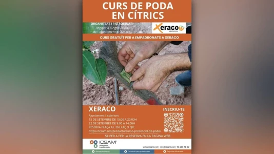 Xeraco organiza un curso gratuito de poda en cítricos