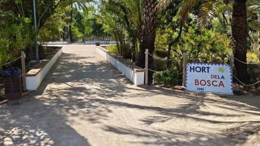 Oliva trabaja en un proyecto de recuperación ambiental en el Parc de l’Hort de la Bosca