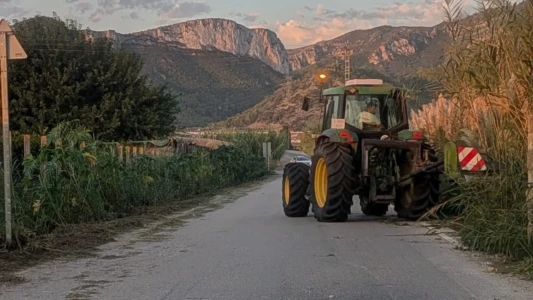 Xeresa intensifica la limpieza barrancos y caminos para prevenir inundaciones