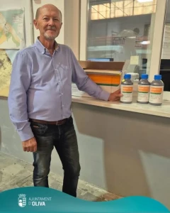 Oliva inicia el reparto del tratamiento contra la mosca del Mediterráneo