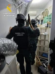 La Guardia Civil desmantela una plantación de marihuana en Rafelcofer
