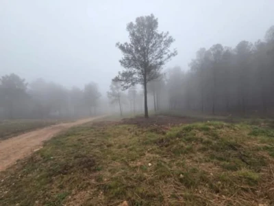 Concluyen las labores de prevención contra incendios forestales en Benifairó