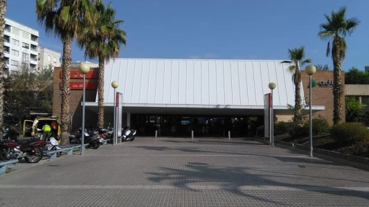 Gandia solicita al Ministerio de Transportes una subvención para reforzar las bonificaciones del transporte público estatal