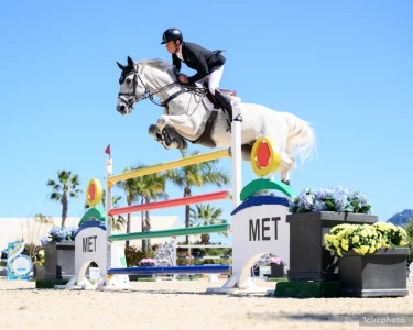 La hípica internacional vuelve a Oliva con una nueva edición del Mediterranean Equestrian Tour