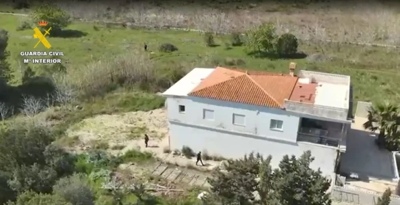Desmantelada una plantación de marihuana en Oliva