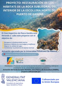 El Club de Pesca Gandia impulsa un proyecto pionero de restauración marina en el Puerto