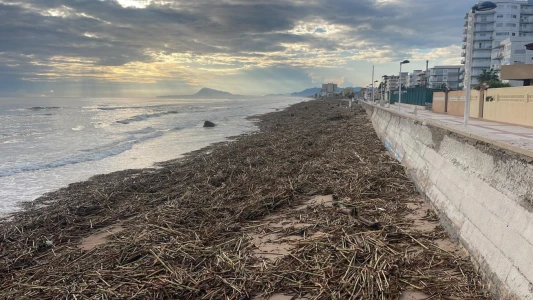 Daimús continúa con las labores de recuperación tras la dana
